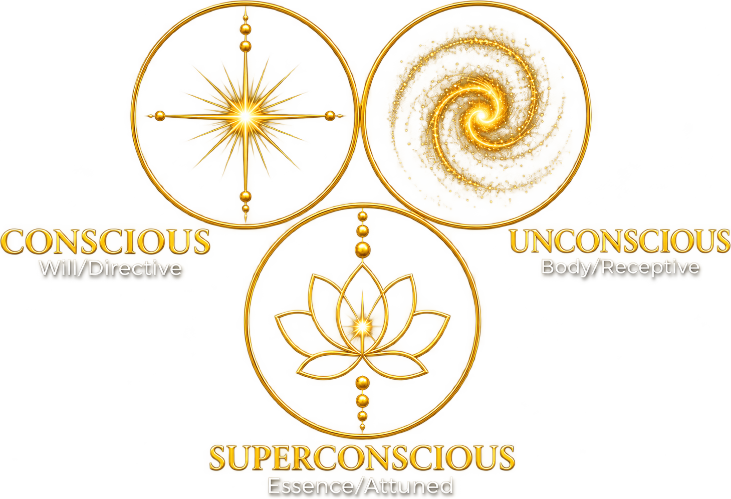 Conscious (will, directive), Unconscious (body, receptive) and Superconscious (essence, attuned)